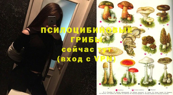 меф VHQ Богданович
