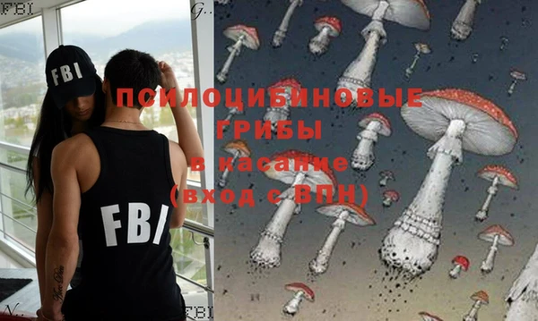 не бодяженный Богородицк